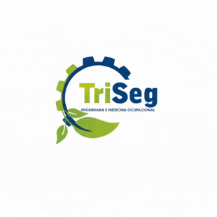TRISEG