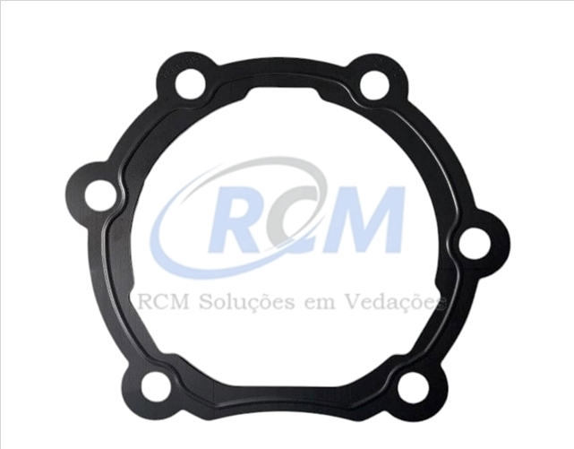 Imagem de VOLVO 204972205 JUNTA DO CILINDRO DE BLOQUEIO - RCM 205