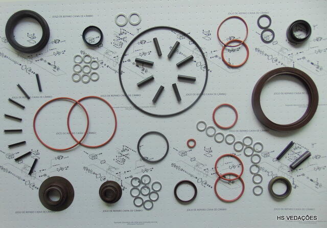 Imagem de ZF 1308298800.2 REPARO PARCIAL VEDAÇÕES 9S 75 - RCM 9S75-V