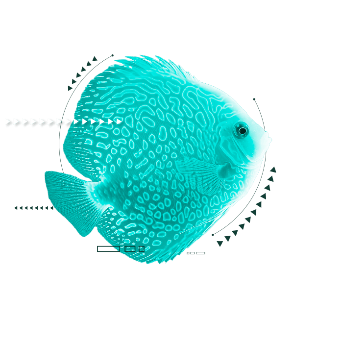 Peixe 1