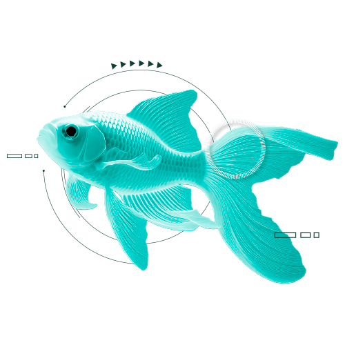 Peixe 2