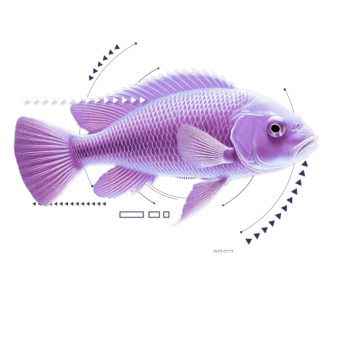 Peixe 1