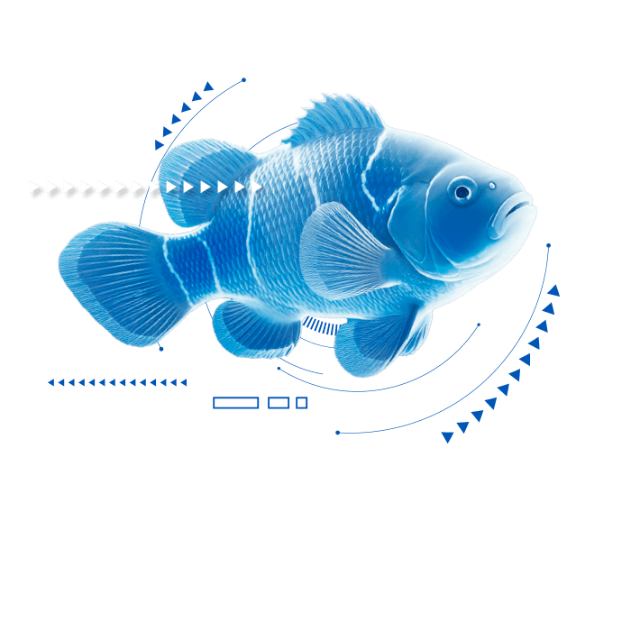 Peixe 1