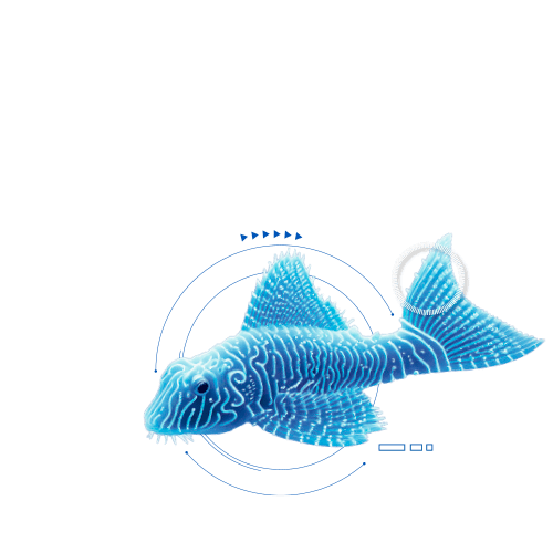Peixe 2