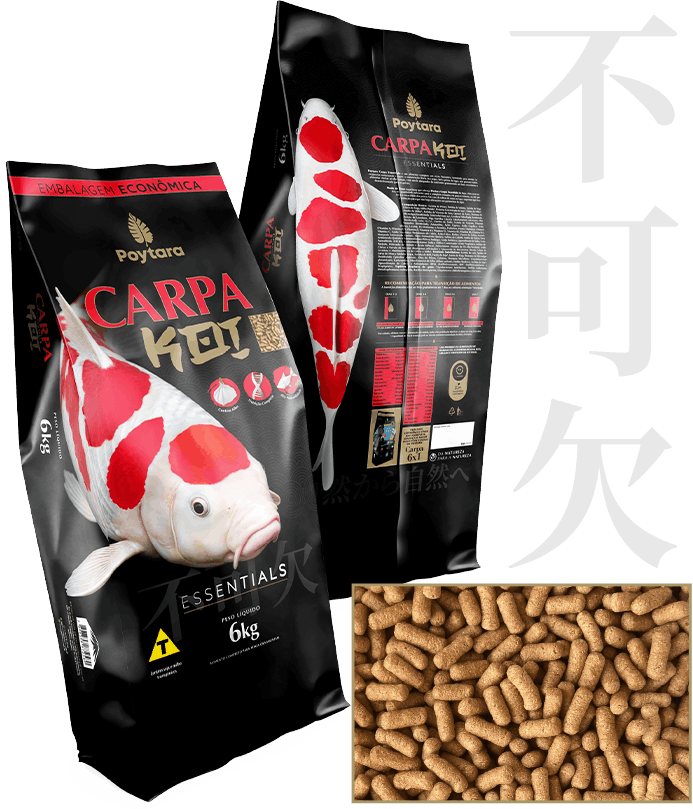 Ilustração Produto Carpa KOI Essentials
