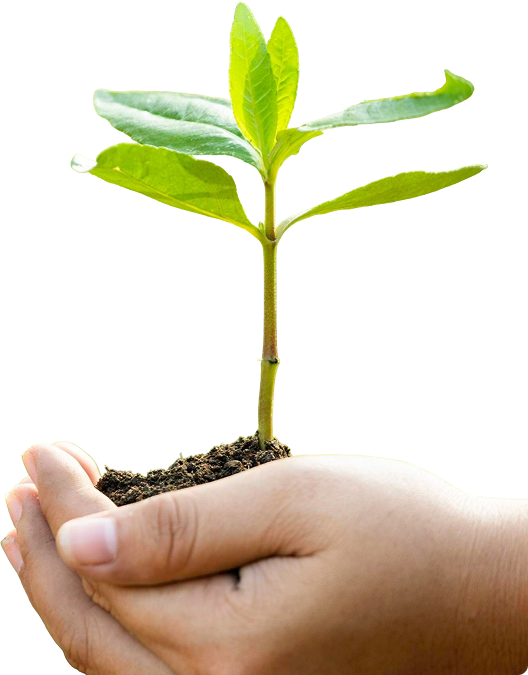 Documentação para viagens